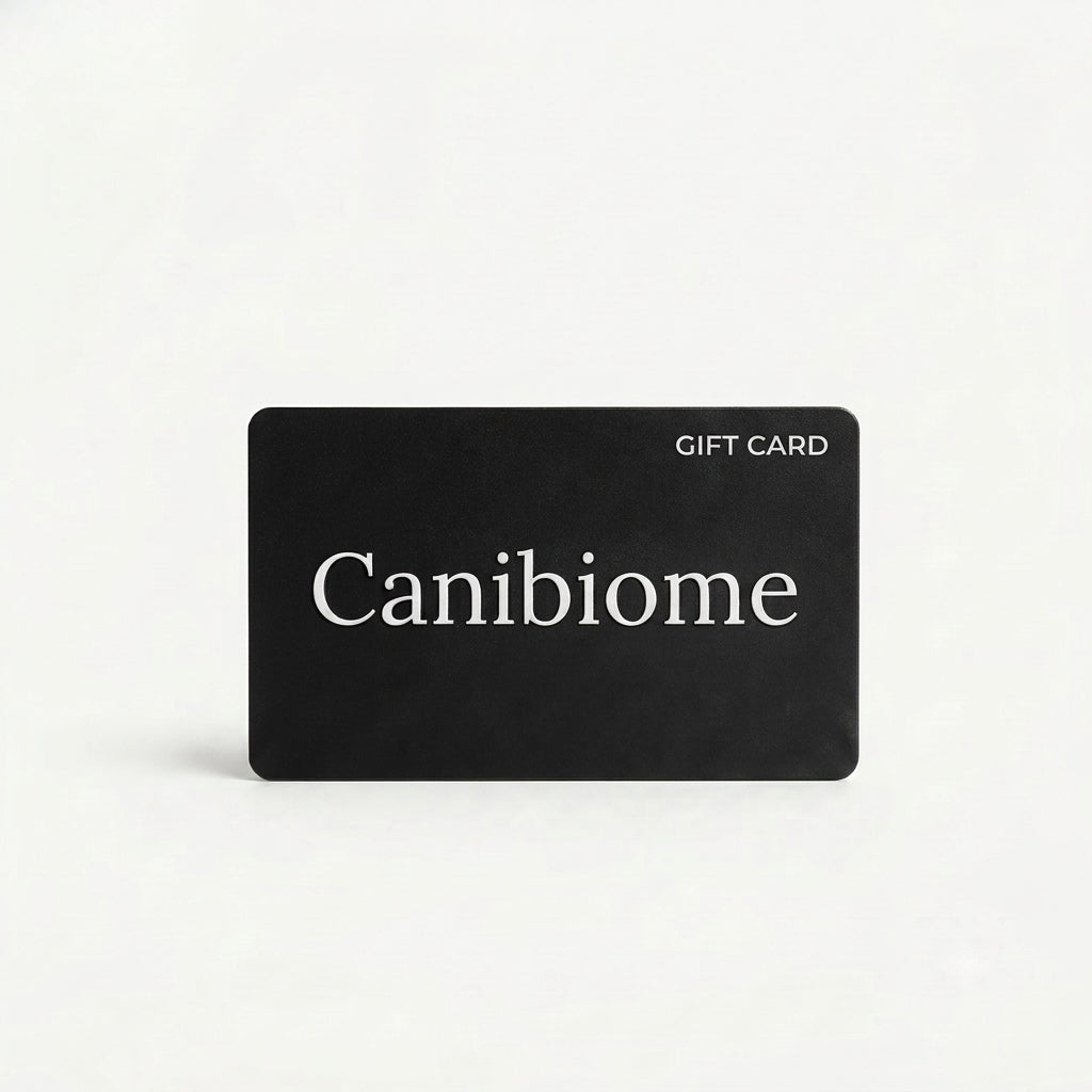 Carte-cadeau de $15 OFFERTE