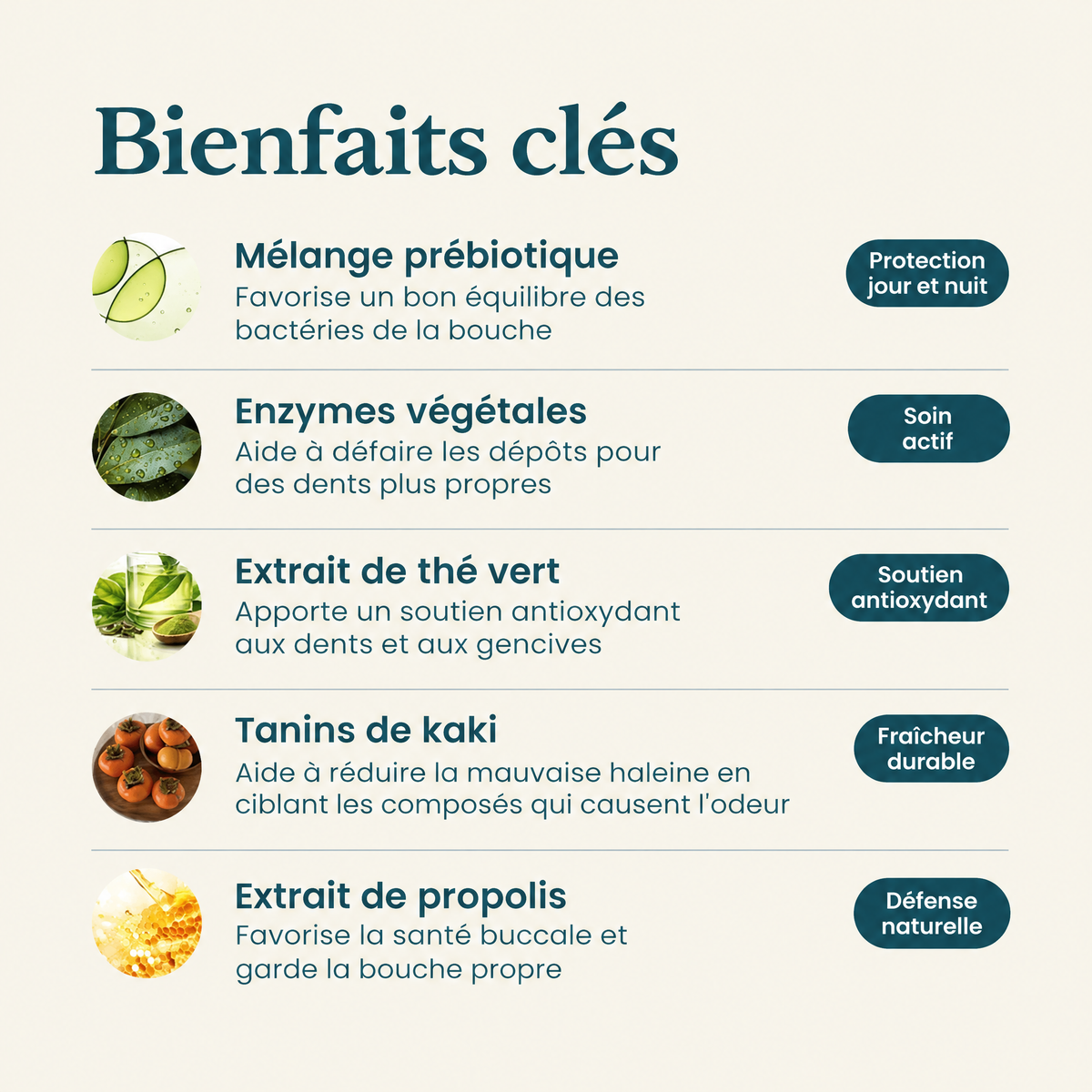 Additif dentaire pour chien Snoutly - SNL-CA