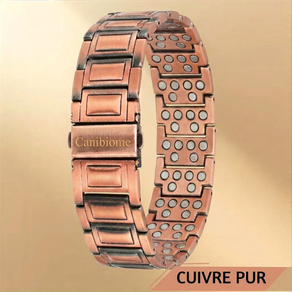 Bracelet magnétique Canibiome - AIM-CA