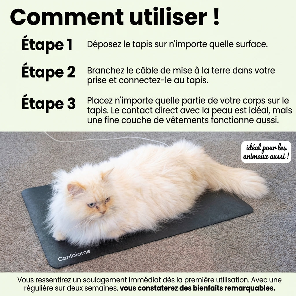 Tapis de mise à la terre Zéro-Volt™