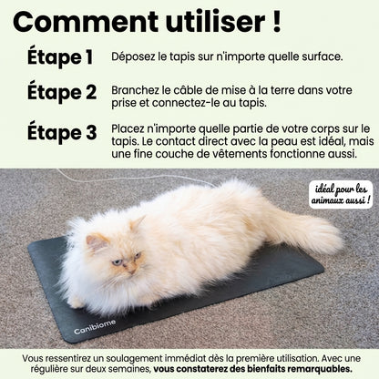 Tapis de mise à la terre Zéro-Volt™