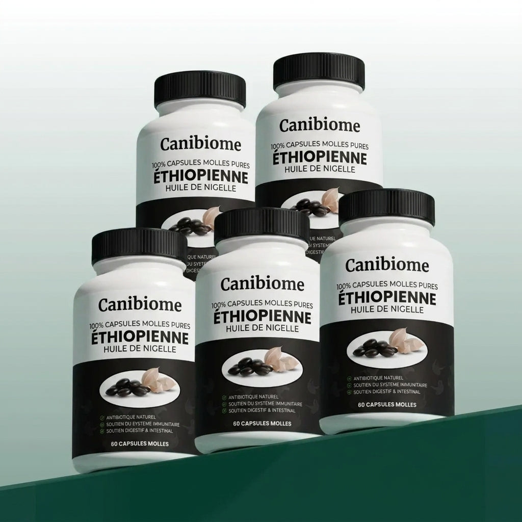 Huile de Nigelle d'Éthiopie Canibiome™