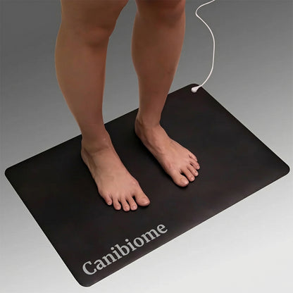 Tapis de mise à la terre Zéro-Volt™