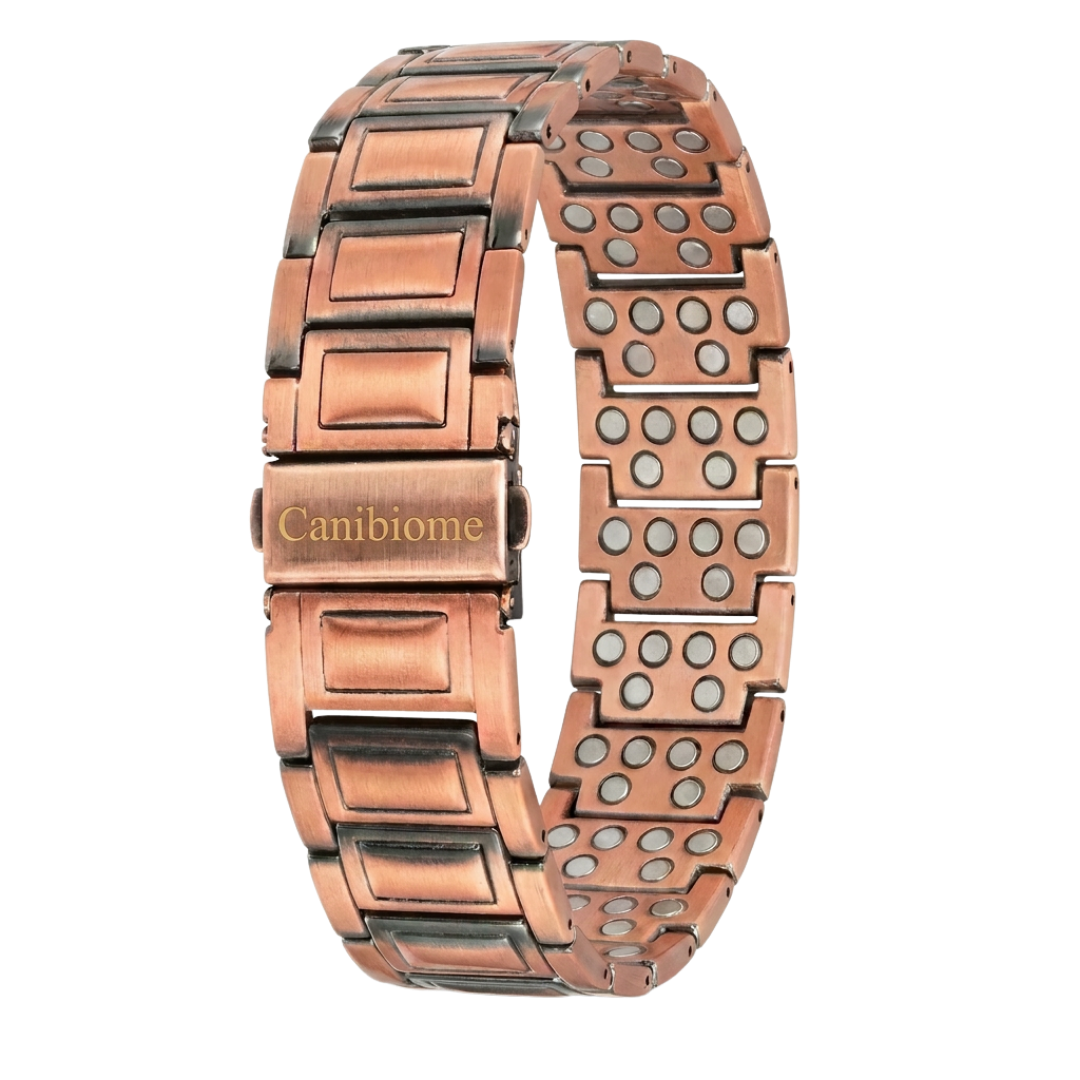 Bracelet magnétique Canibiome
