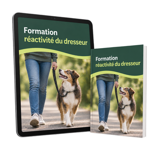 Formation réactivité du dresseur