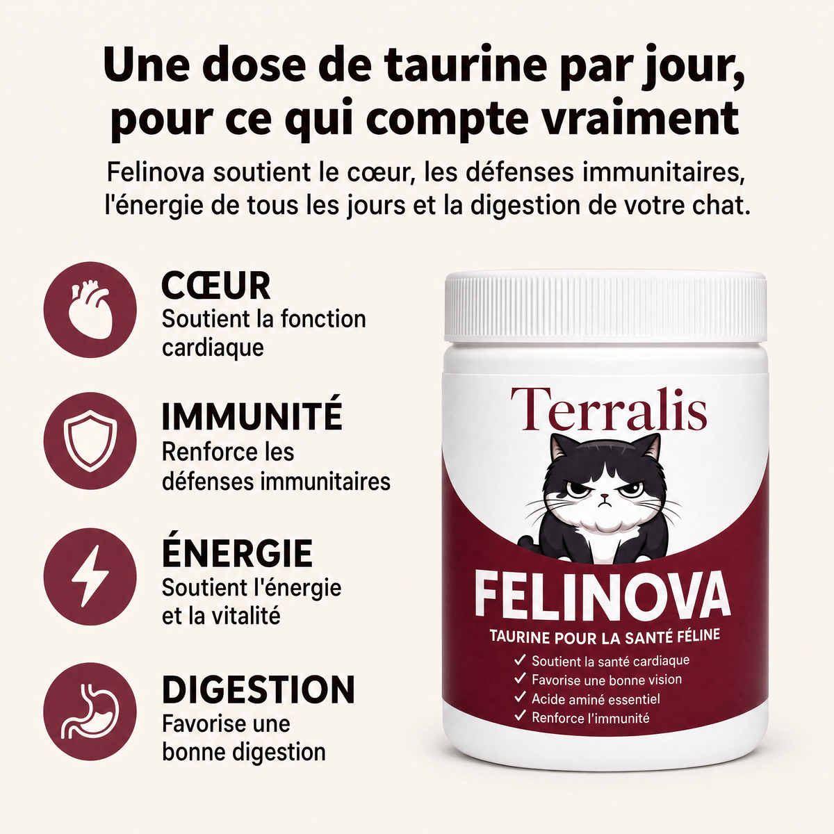 Felinova, taurine pour la sante feline