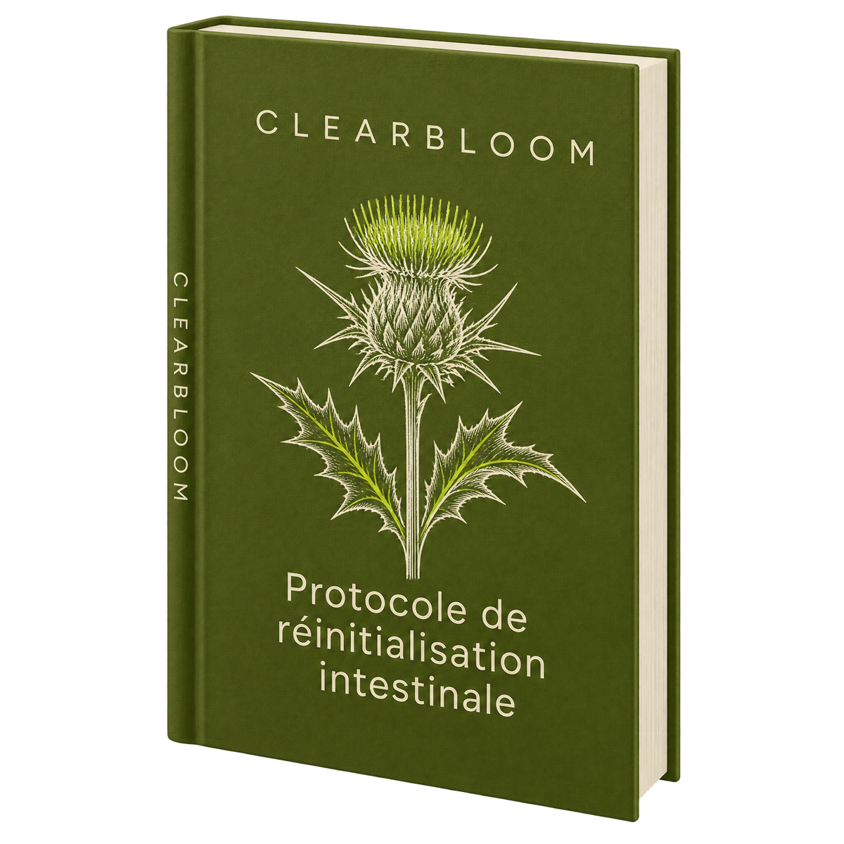Livre numérique : Protocole de réinitialisation intestinale