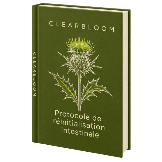 Livre numérique : Protocole de réinitialisation intestinale