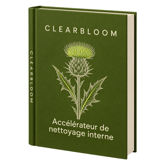 Livre numérique : Accélérateur de nettoyage interne