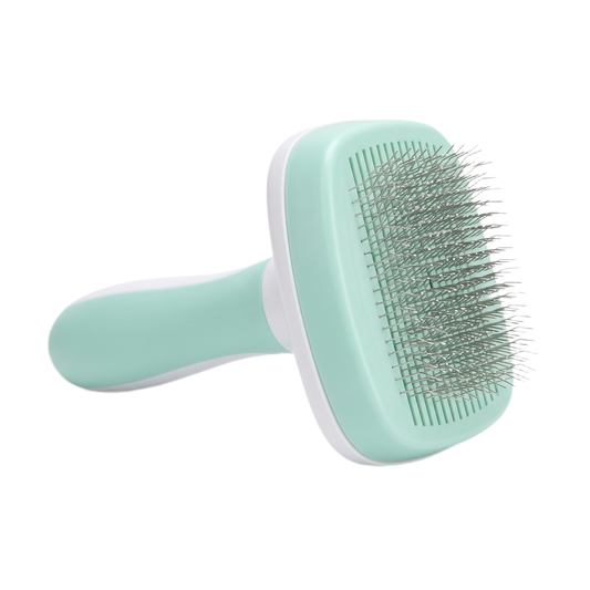 Brosse de toilettage offerte