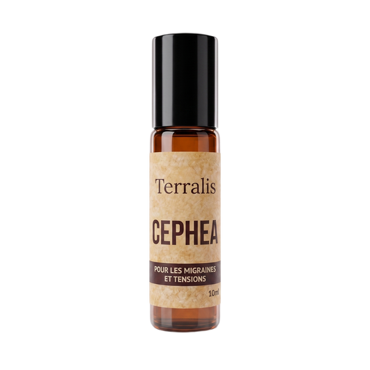 Cephea