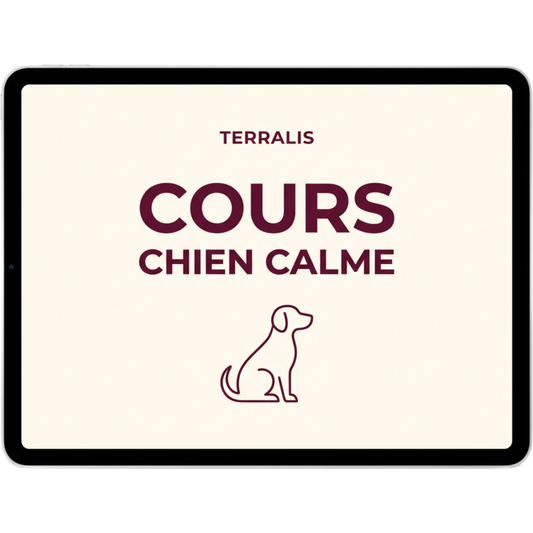 Cours offert
