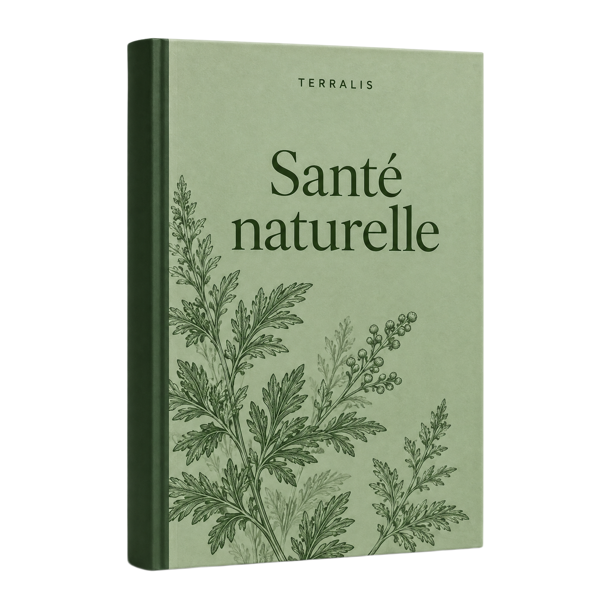 E-book « Santé naturelle »