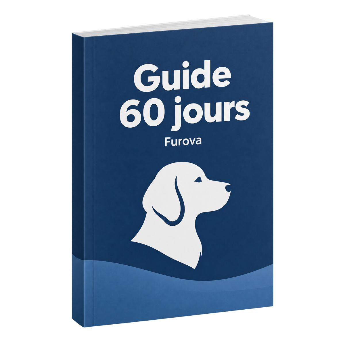 Guide 60 jours
