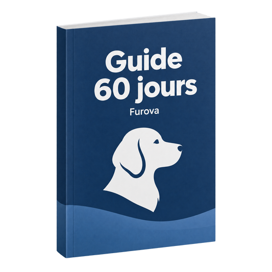Guide 60 jours