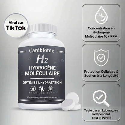 Hydrava H2