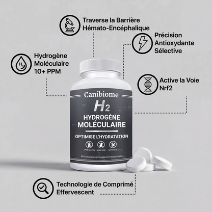 Hydrava H2