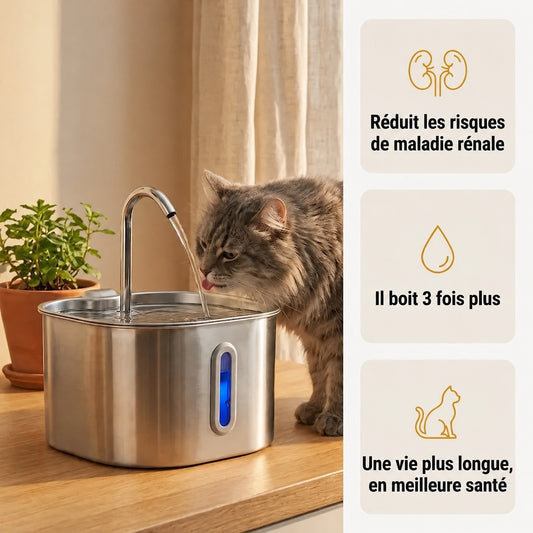 Fontaine à eau en inox pour chat Aquapurr - AQP-CA