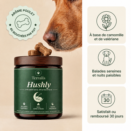 Friandises apaisantes pour chien Hushly - HSH-CA