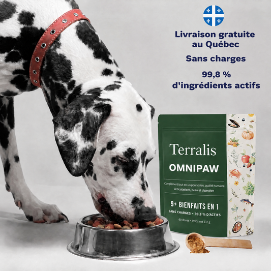 Complément tout-en-un pour chien Omnipaw - OMP-CA