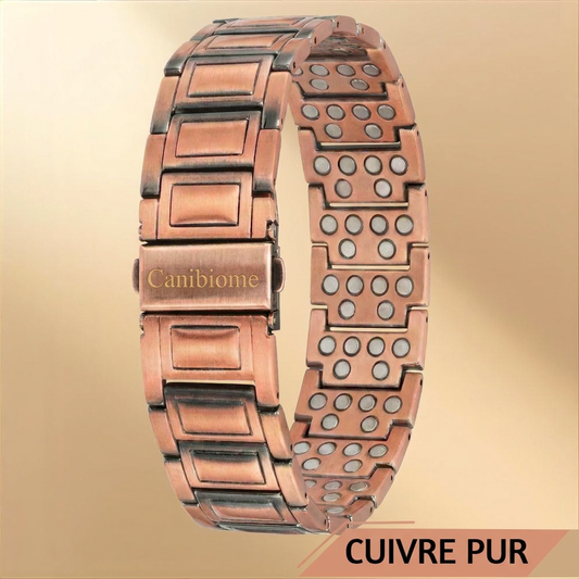 Bracelet magnétique Canibiome en cuivre pur au poignet