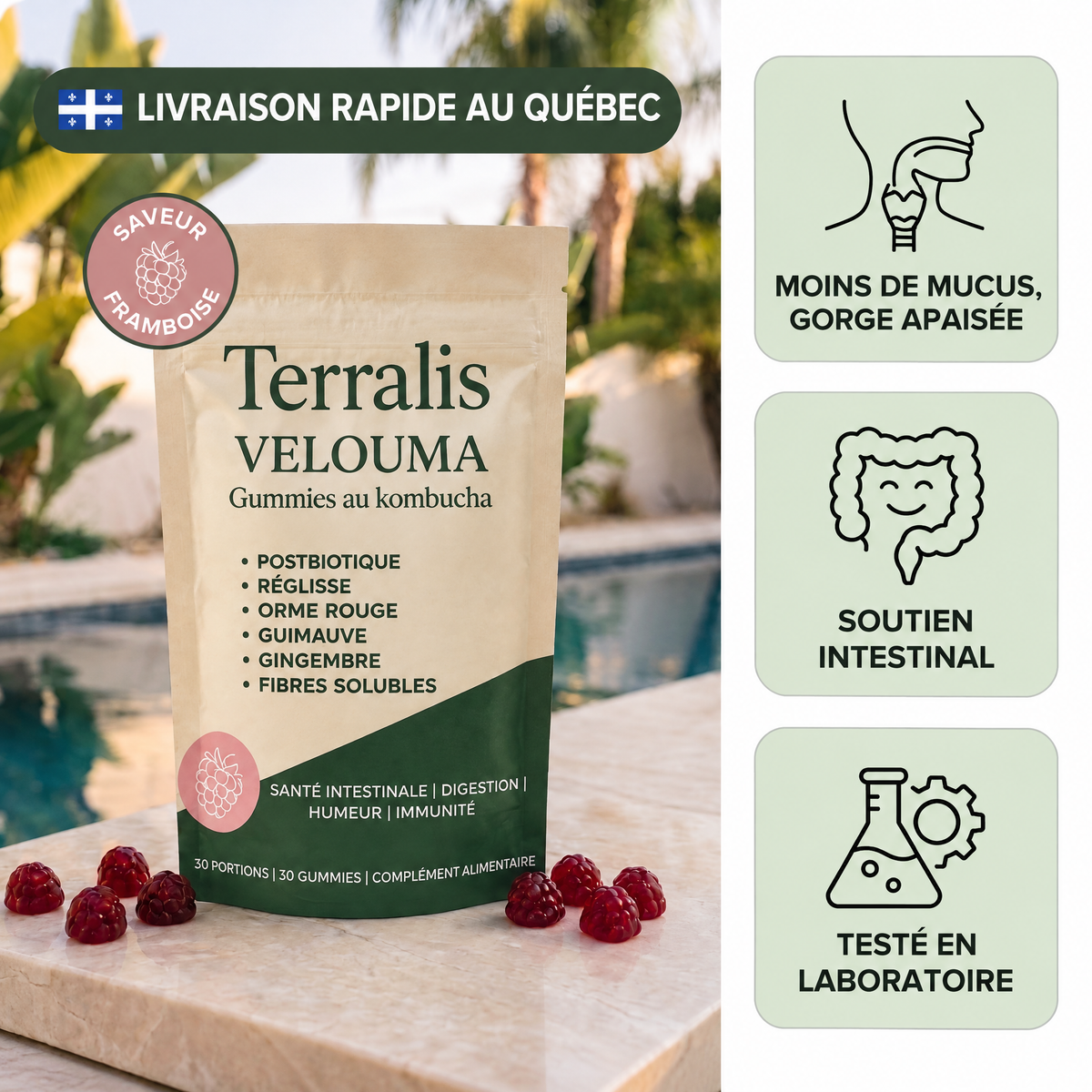 Gummies au kombucha pour la gorge Velouma - VLM-CA