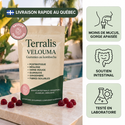 Gummies au kombucha pour la gorge Velouma - VLM-CA