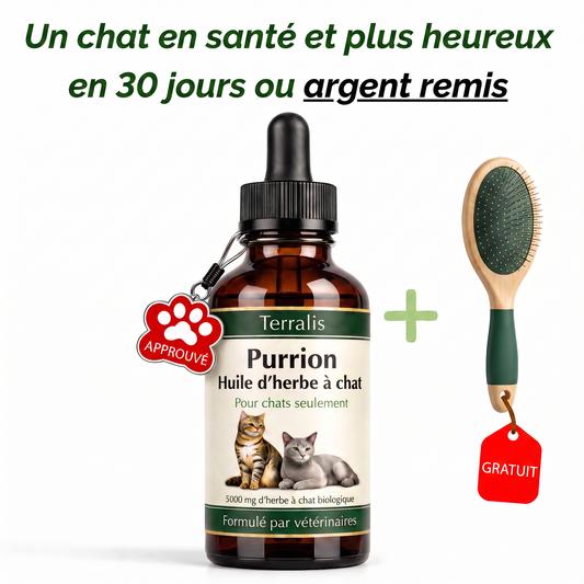 Purrion