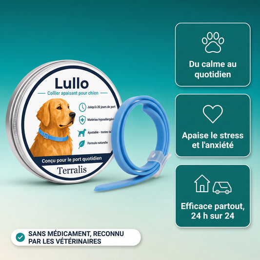 Collier apaisant Lullo pour chien