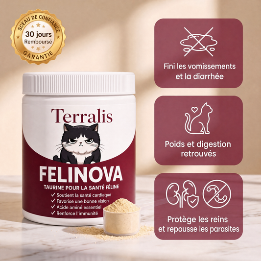 Felinova FLN-CA