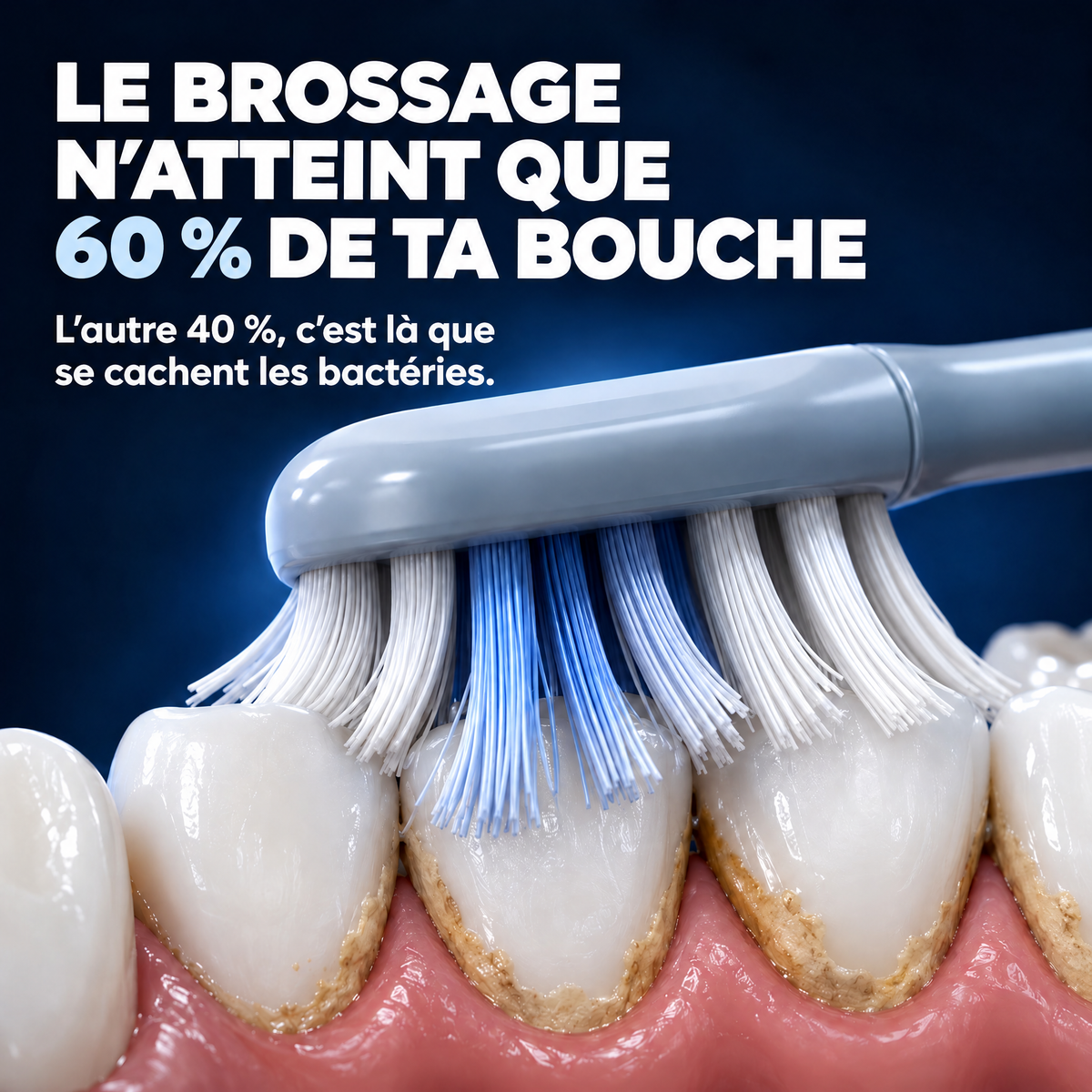 Bain de bouche à l'huile pour les gencives Pullora - PUL-CA