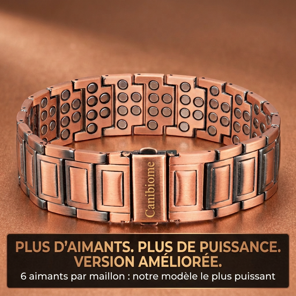 Bracelet magnétique Canibiome - AIM-CA