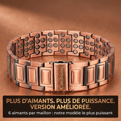 Bracelet magnétique Canibiome - AIM-CA