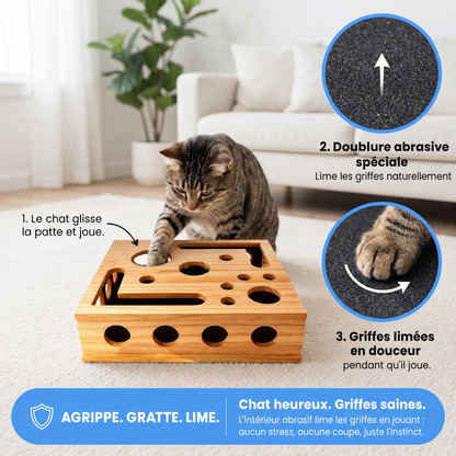 Kittora : le chat creuse dans la boîte et se lime les griffes en jouant