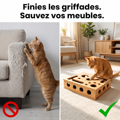 Kittora : papier abrasif grain 100, doux pour les coussinets