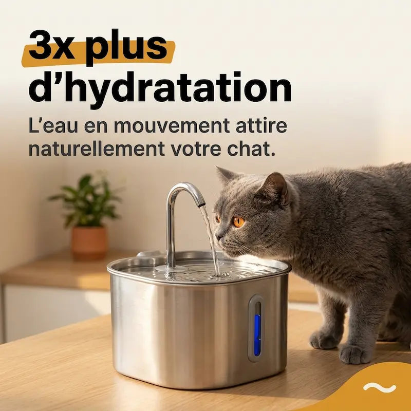 Fontaine à eau en inox pour chat Aquapurr - AQP-CA