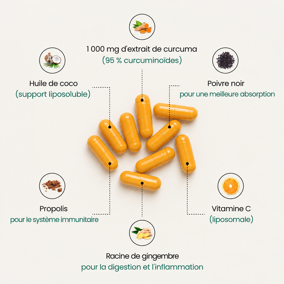 Gélules de curcuma Turmara - 2062TRM-CA