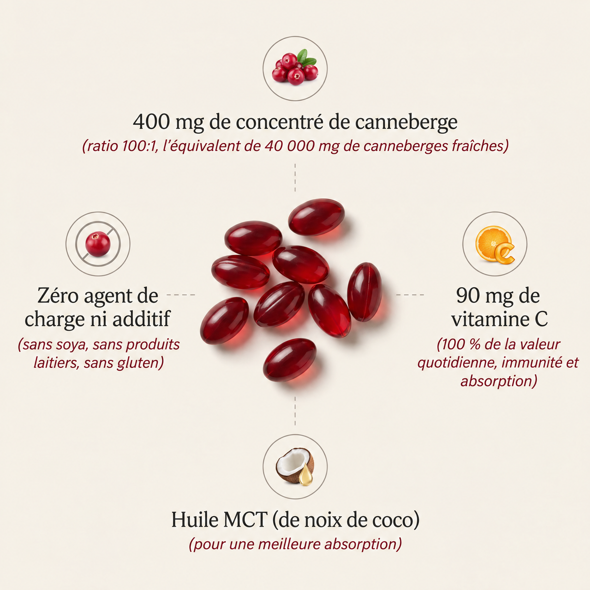 Capsules de canneberge concentrée Cannelys - CNL-CA
