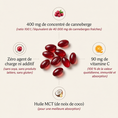 Capsules de canneberge concentrée Cannelys - CNL-CA