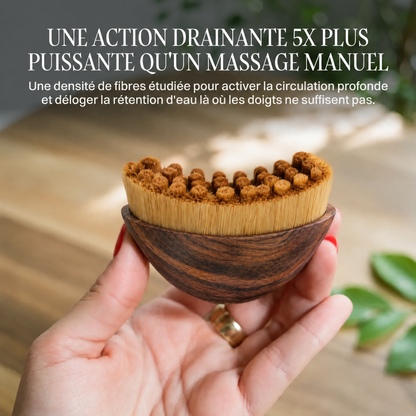 Brosse lymphatique visage Ovalia - OVL-CA