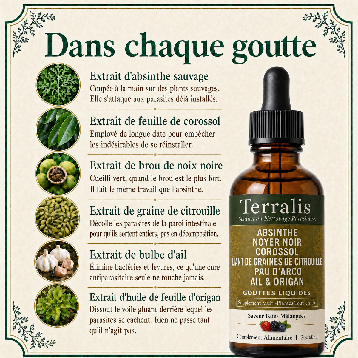 Gouttes à base d'absinthe sauvage Terralis ABS-CA
