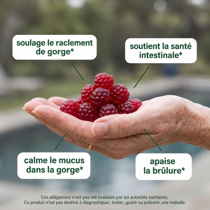 Gummies au kombucha pour la gorge Velouma - VLM-CA