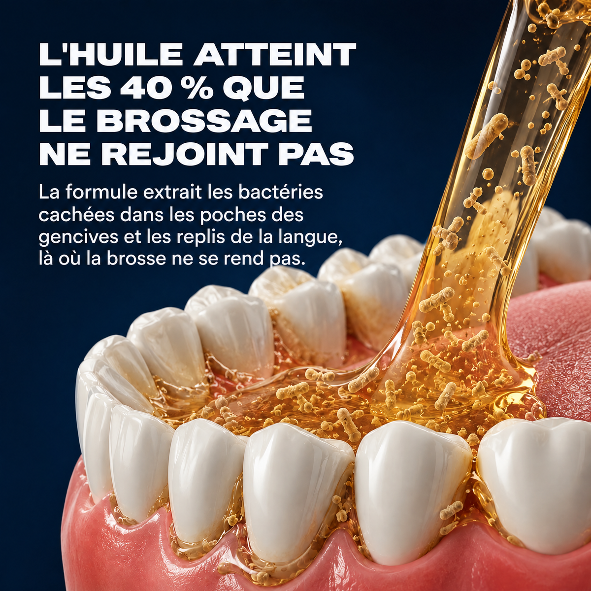 Bain de bouche à l'huile pour les gencives Pullora - PUL-CA