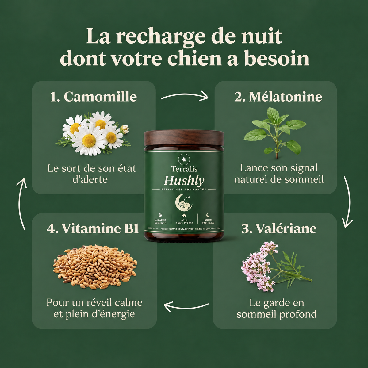 Friandises apaisantes pour chien Hushly - HSH-CA