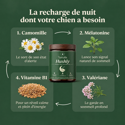 Friandises apaisantes pour chien Hushly - HSH-CA