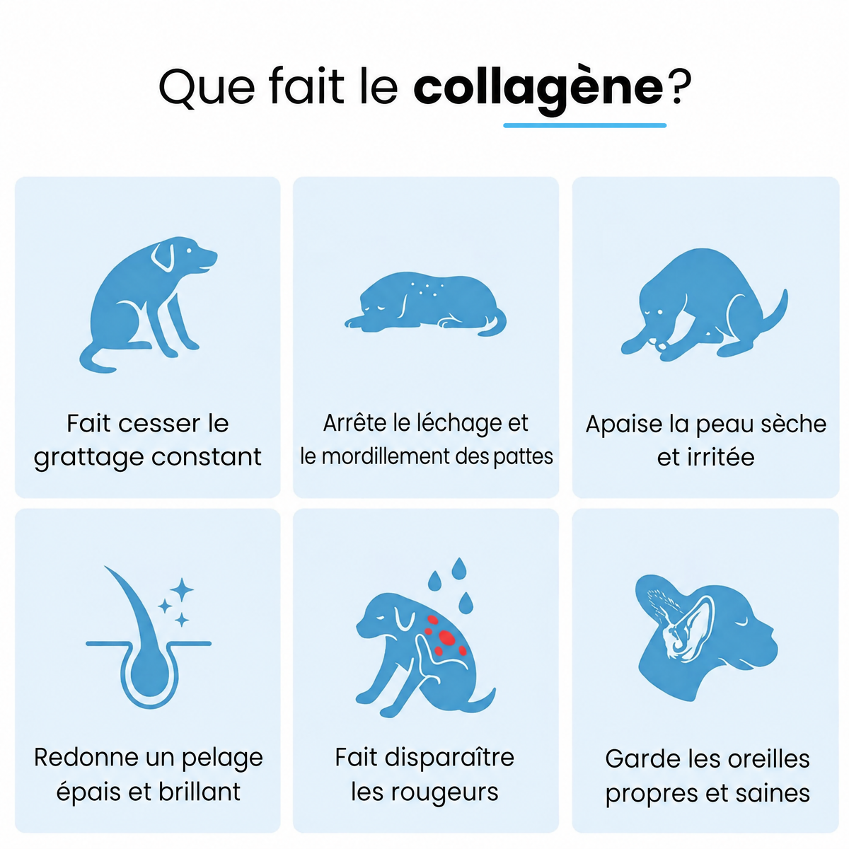 Collagène liquide pour chien Furova - FRV-CA