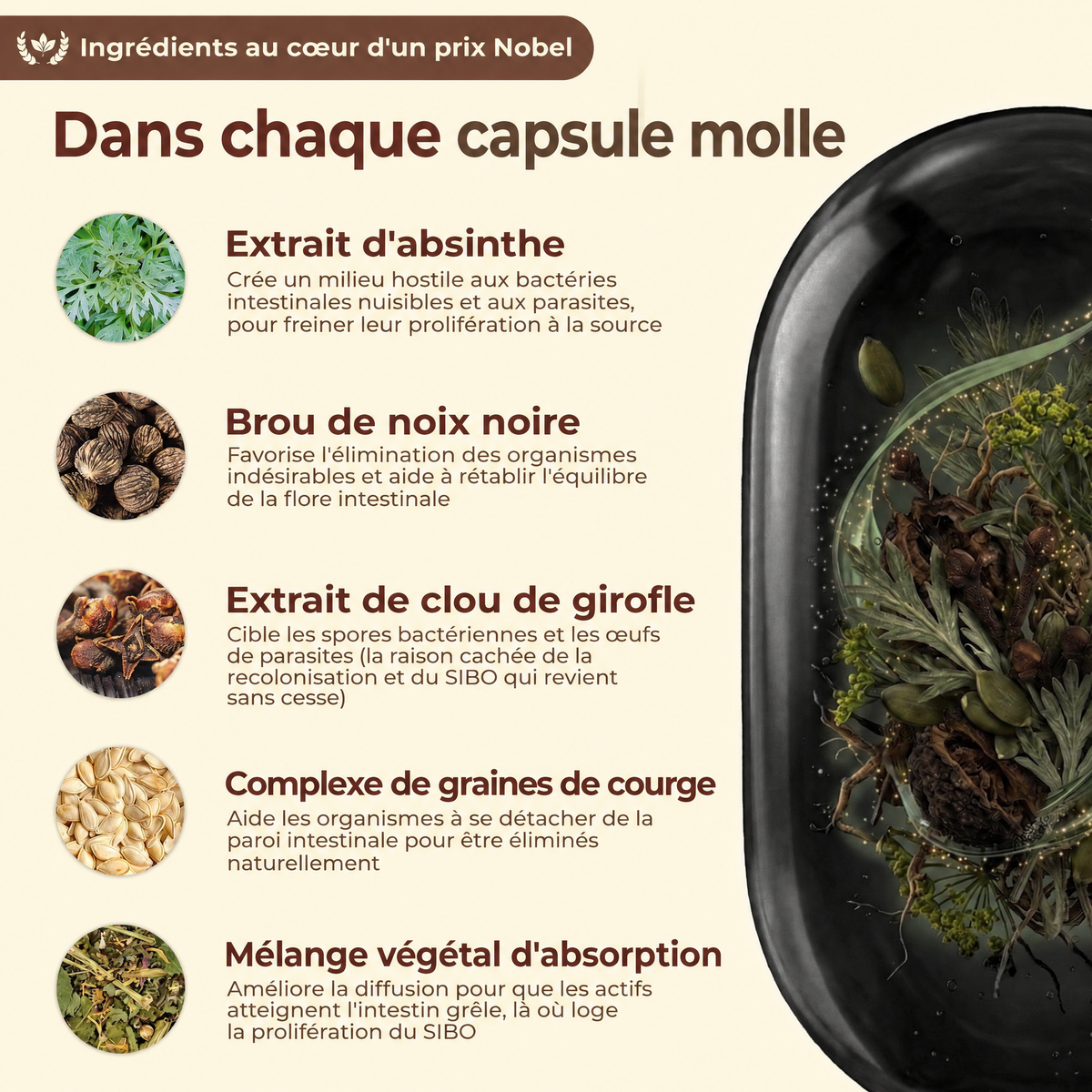 Capsules antiparasitaires Vermora - VRM-CA