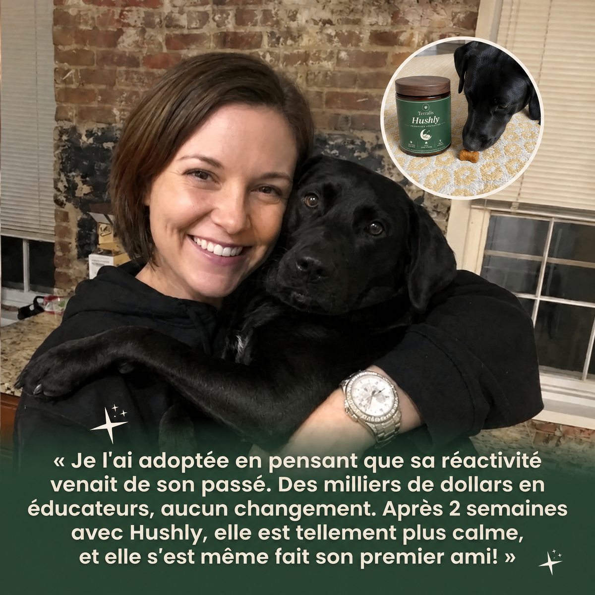 Friandises apaisantes pour chien Hushly - HSH-CA