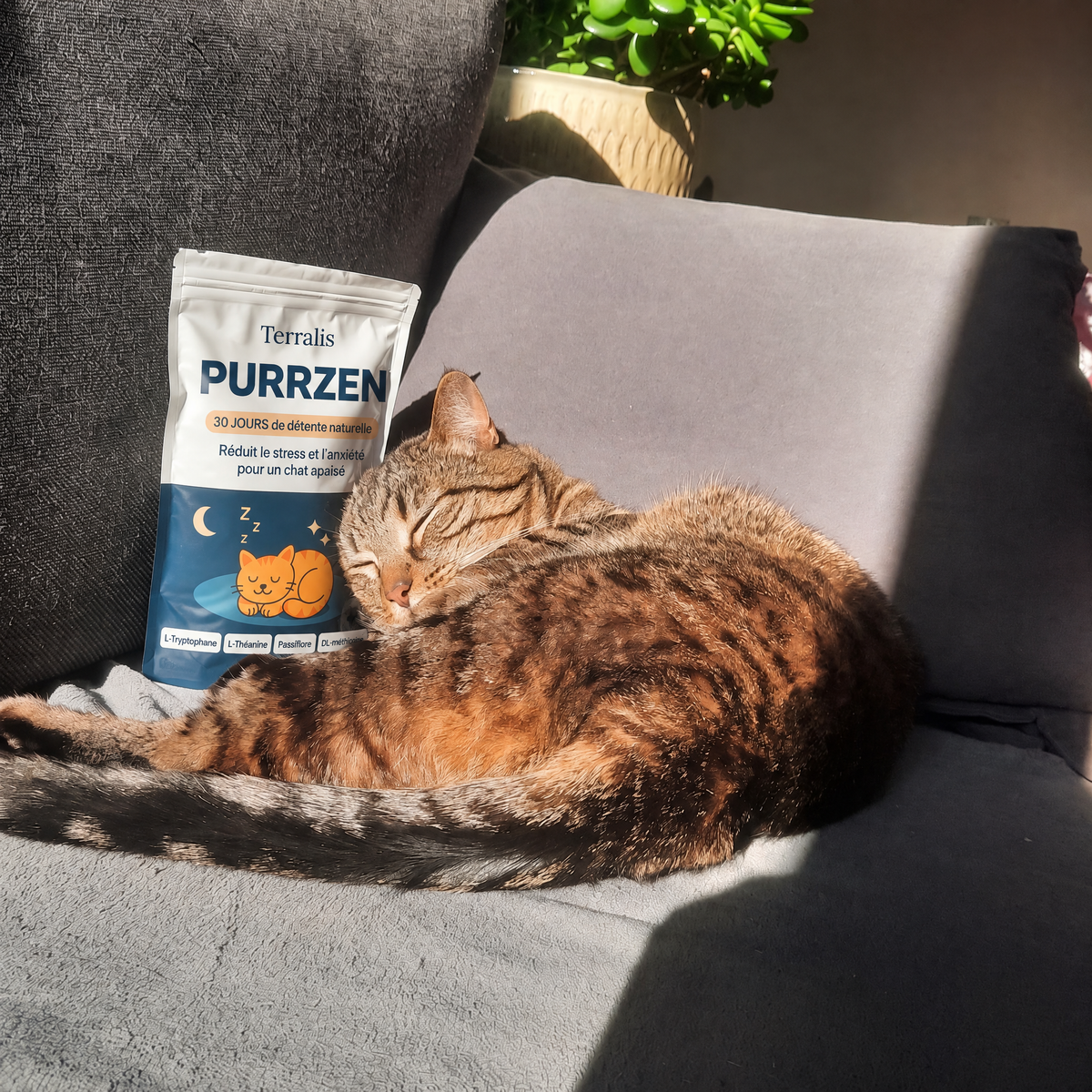 Bouchées apaisantes pour chat Purrzen - PRZ-CA