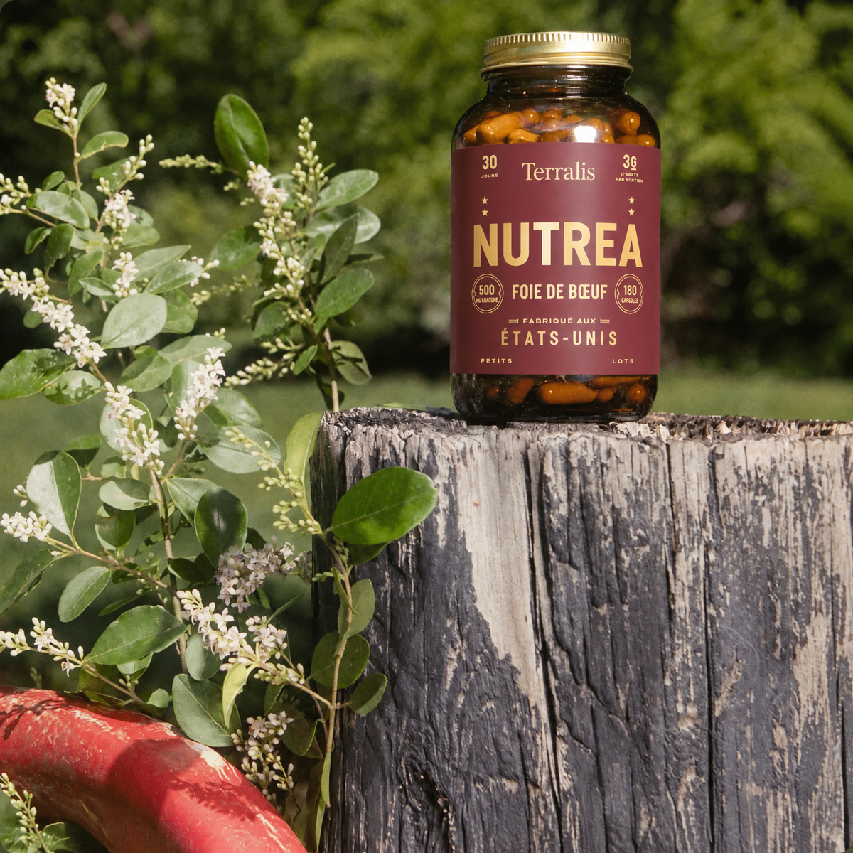Capsules de foie de bœuf Nutrea - 6366NUT-CA